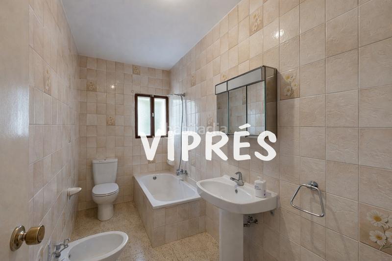 Foto ee65ac09-0b7e-440f-8853-bbe4274999e2. Pis a Casco Antiguo Cáceres