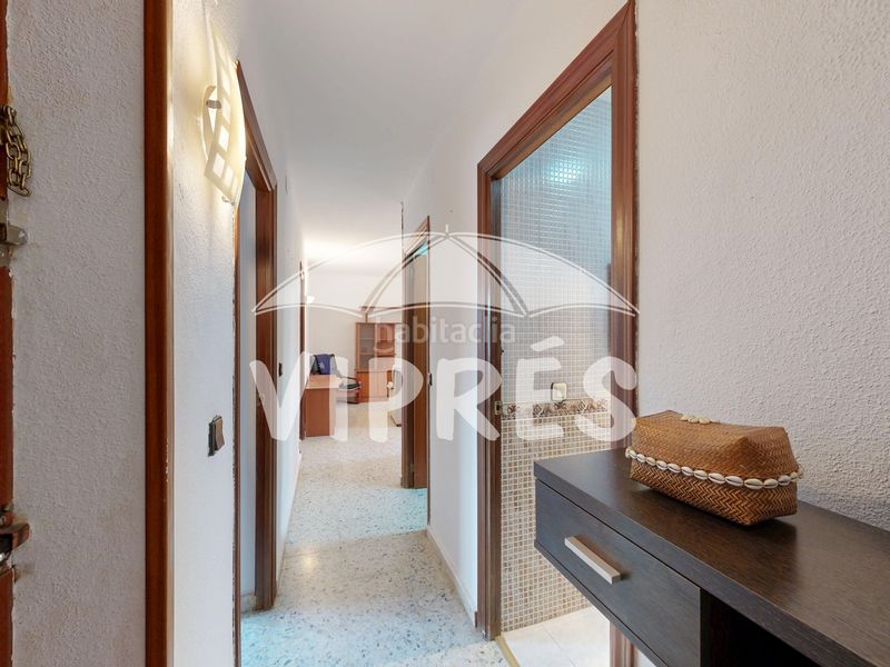 Foto 115c137e-8fae-43b7-8614-30d865fc7ba9. Pis a Este Mérida