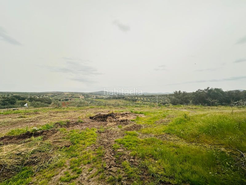 Foto 0aa8c0b6-5eec-4bdf-b039-6dd17389c2d1. Finca rústica a Oliva de Mérida