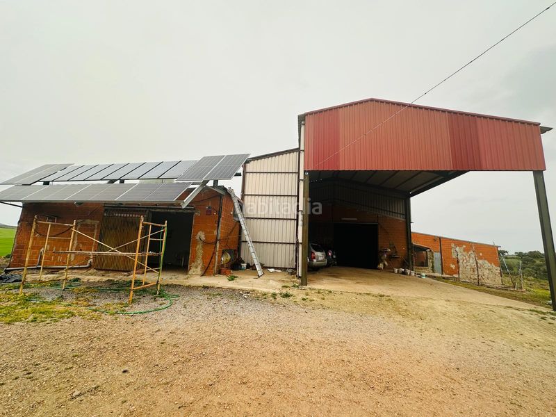 Foto 1206bc12-32f1-439a-a482-d4dbe9db89a9. Finca rústica a Oliva de Mérida