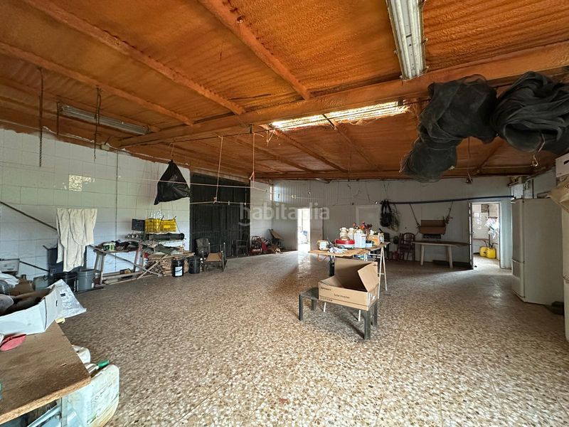 Foto 2bd095b0-9a50-4a7f-93b9-9e471a487624. Finca rústica a Oliva de Mérida