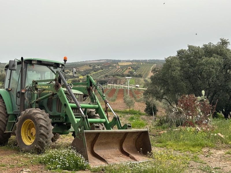 Foto 432b71dd-baa2-4810-910c-684e534793ee. Finca rústica a Oliva de Mérida