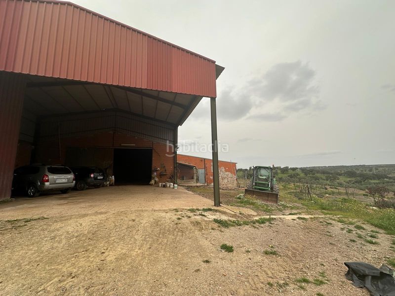 Foto 4c83e0bc-3887-498b-8b2c-c22787bfc245. Finca rústica a Oliva de Mérida