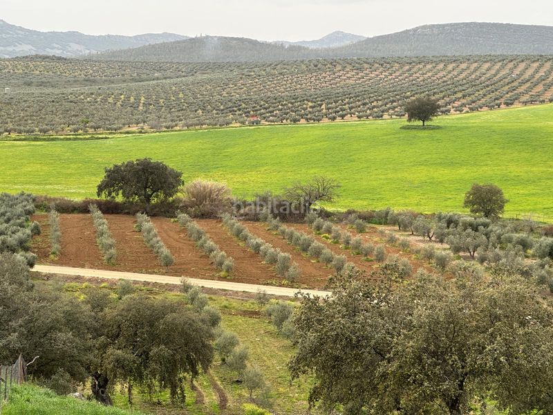 Foto bcddfe04-2b4a-419e-bbea-ef96ce272218. Finca rústica a Oliva de Mérida