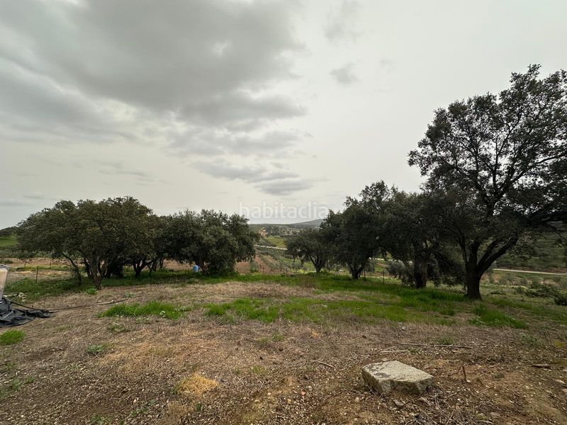 Foto c5f1fd57-f6cc-4a90-96c1-50641fe8f6e6. Finca rústica a Oliva de Mérida