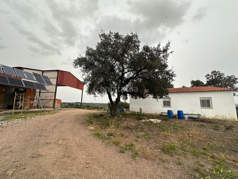 Foto c97c5af1-351a-4e5d-8112-1a97195a257a. Finca rústica a Oliva de Mérida