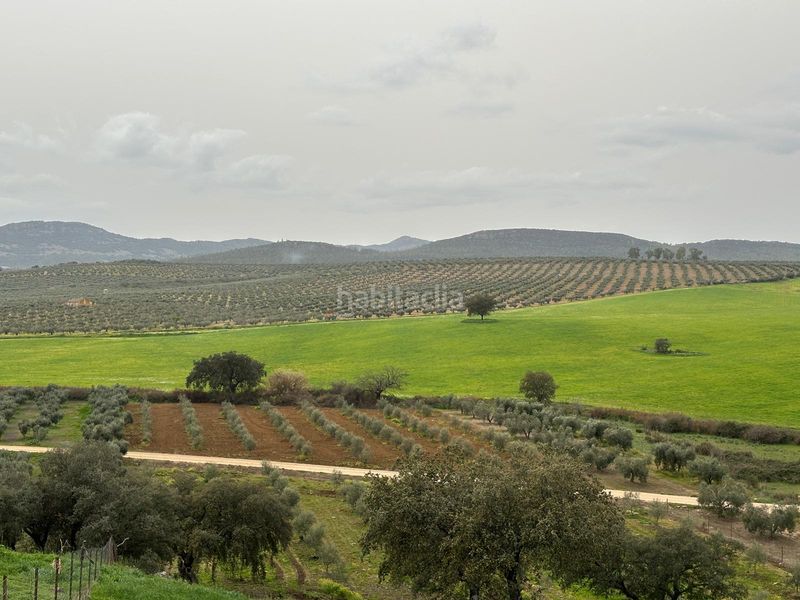 Foto e0db6115-63c2-4368-8256-f55857719251. Finca rústica a Oliva de Mérida