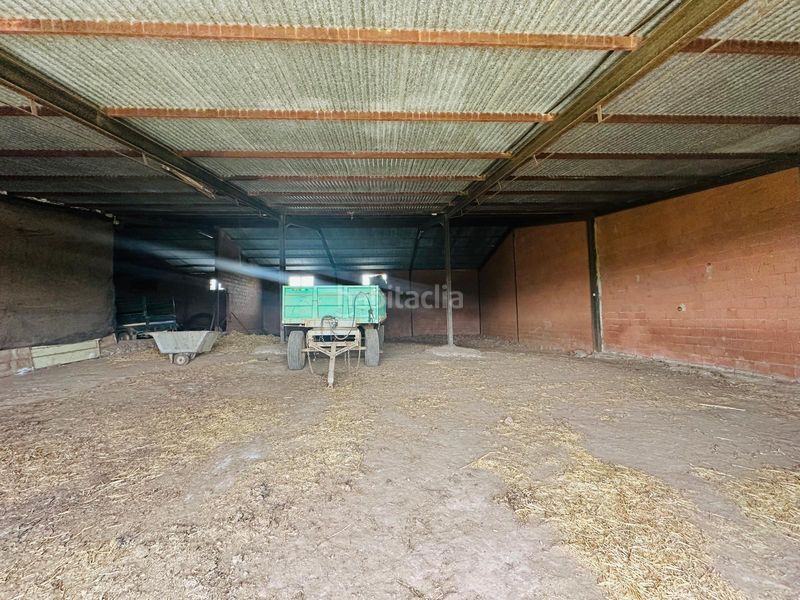 Foto e4fd1413-8653-4ef1-b801-a654dd80d76d. Finca rústica a Oliva de Mérida