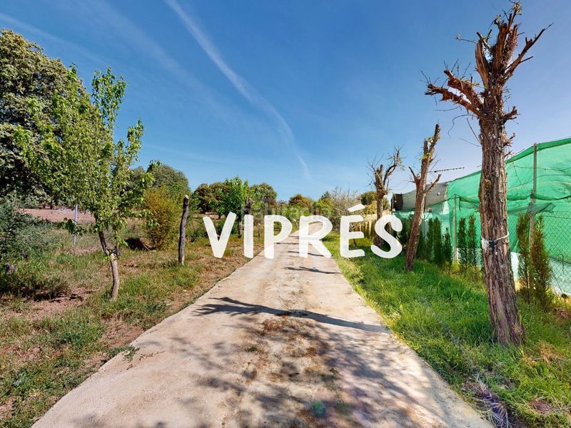 Foto 367a3049-09a1-4727-a65f-f003e468d38a. Finca rústica a Torreorgaz