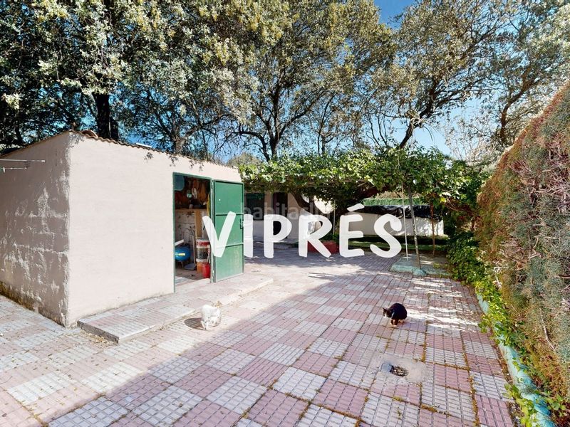 Foto e7613cd7-6a5f-44bd-ad0d-9b0832c52735. Finca rústica a Torreorgaz