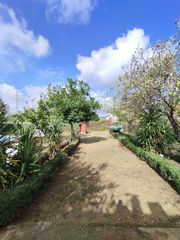 Maison à Valverde de Mérida. Vende campo con dos casa en guareña