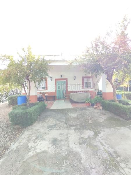 Foto 4a875628-1627-4a42-bada-e9910e03e8e0. Casa amb piscina a Valverde de Mérida