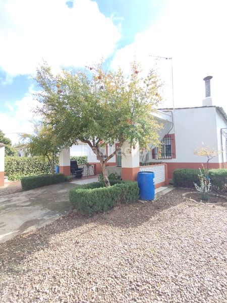 Foto 5bdd5980-5860-4eb7-b385-8ca60faeb6af. Casa amb piscina a Valverde de Mérida