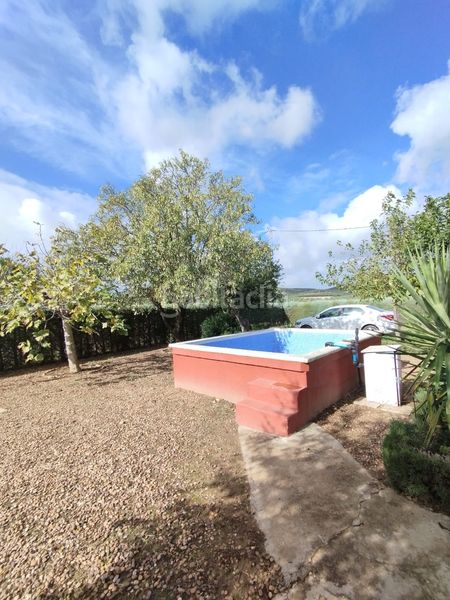 Foto b29dfaa1-2d8a-401c-95dd-b4ee1cd7b91b. Casa amb piscina a Valverde de Mérida