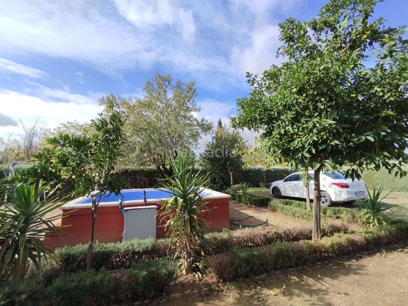 Foto ed8ee23b-1853-4338-99fb-1403b95f804f. Casa amb piscina a Valverde de Mérida