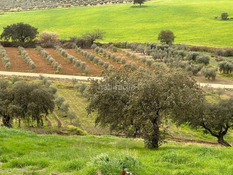 Foto 58f1e856-b8c2-4eb0-85d5-5d6f93d33c3e. Masia a Oliva de Mérida