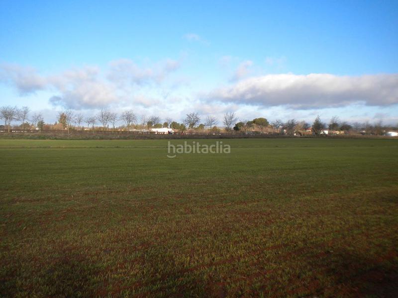 Foto 72c6dbd8-1653-4f37-a7bf-786ef0d99720. Terreno residencial en n/a en Nuevo Hospital Ciudad Real