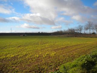 Residential Plot in N/a