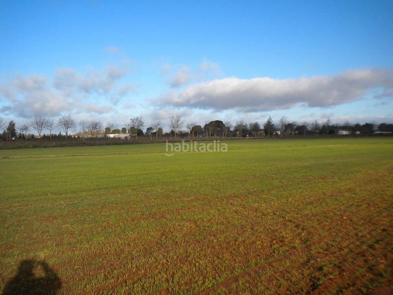 Foto ea9c55e1-8115-4a1f-885b-4a4403cf7109. Terreno residenziale in n/a in Nuevo Hospital Ciudad Real