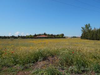 Rural plot  Poblado poblachuela anj. Inmobiliaria correal ofrece parcela en venta en la poblachuela