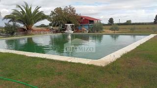 Chalet in Villanueva de la Serena. Chalet en zona de regadio con luz y una gran piscina