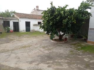 Casa a Calle palmeras 18. Gran vivienda reformada para entrar a vivir con un gran patio