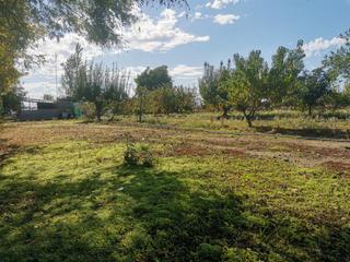 Finca rústica a Poblado villanueva de la serena 48. Estas pensando en comprar una parcela para hacerte un chalet?