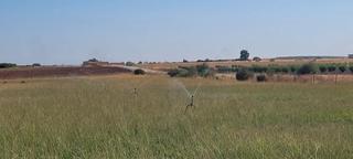 Landgut  N/a. Finca rustica de regadio con una nave con luz solar