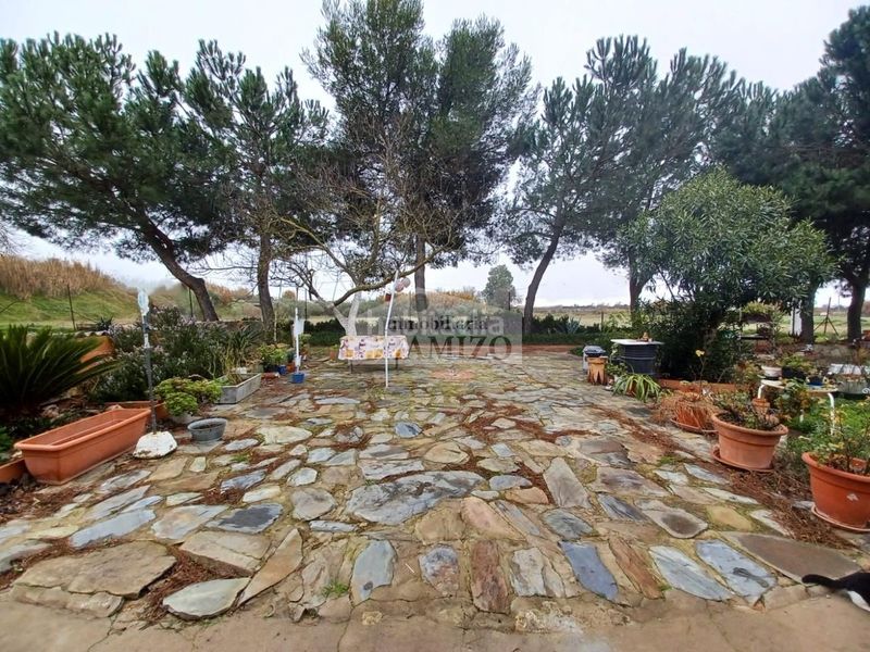 Foto 94d36987-c809-429d-9a3a-69c3b2ce7e68. Chalet in calle san francisco 43 in Villanueva de la Serena