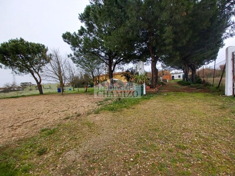 Foto eae44266-53a0-4e11-a4d5-afedeccffb7c. Chalet in calle san francisco 43 in Villanueva de la Serena