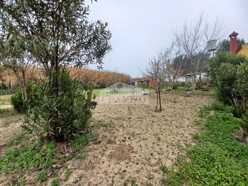 Foto edf69662-c040-437c-b2a3-79a3f8e96d0c. Chalet in calle san francisco 43 in Villanueva de la Serena