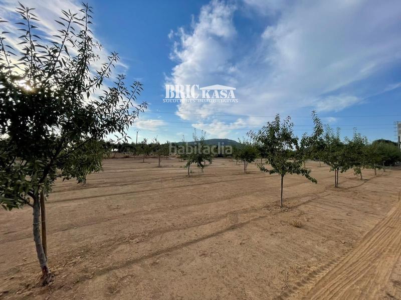 Foto a8296697-3aaf-4a1d-8eb0-ee76910336d3. Chalet  independiente en Torre de Santa María