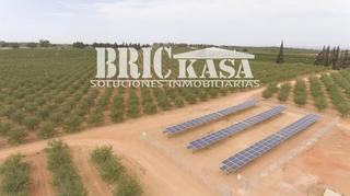 Terreny residencial  Calle cuesta de belén. Finca ganadera y de riego de 1.700ha en jaén306 hectáreas de oli