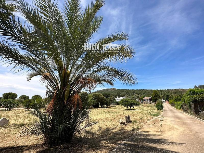 Foto e13d577e-64cb-464b-a6a8-f05a677f837a. Chalet  independiente carretera ex206 en Casco Antiguo Cáceres