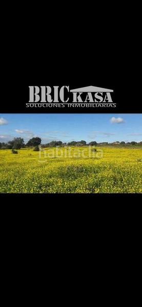 Foto 33ef8587-3c6e-483d-a1f9-6a1a4c7e04c5. Terrain résidentiel dans Aldea del Cano