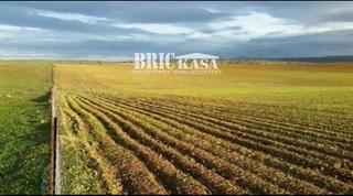 Finca rústica  N/a. Finca en badajoz