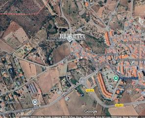 Propriété  N/a. Olivar en venta en sierra de fuentes