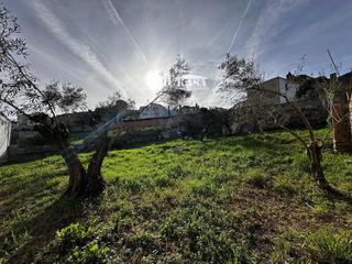 Finca rústica  Tenerias. Terrreno en venta