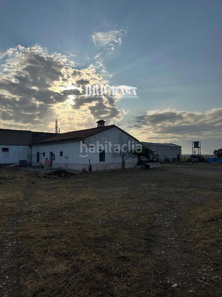 Foto d96b9fc1-98ff-4f3d-801c-3b6c375b4fcf. Xalet amb calefacció aparcament piscina a Valdesalor - Rincón de Ballesteros Cáceres