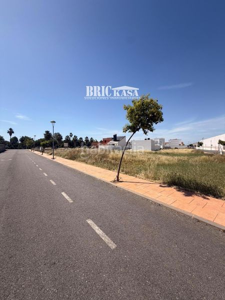 Foto 9e41bae5-d3df-4833-b163-fb6657e56561. Finca rústica a Casar de Cáceres