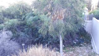 Residential Plot in Bacarés-Manresa-Bonaire