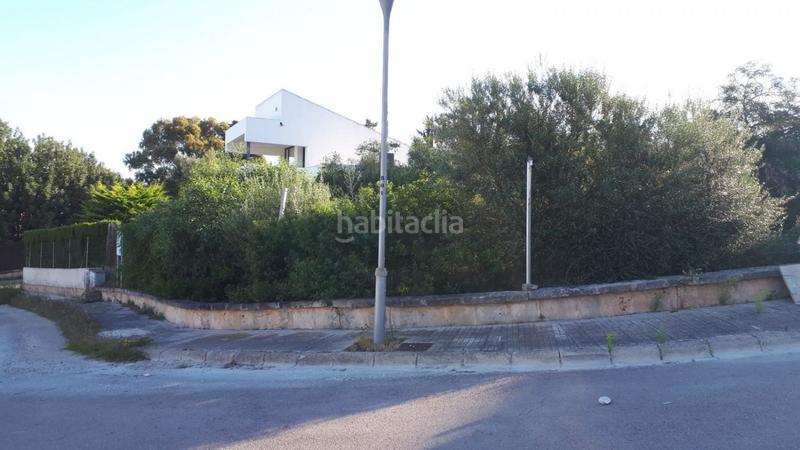 Foto bdc81c21-23ec-41a3-9ab4-48e4e4cc89f3. Terreno residencial en Bacarés-Manresa-Bonaire Alcúdia
