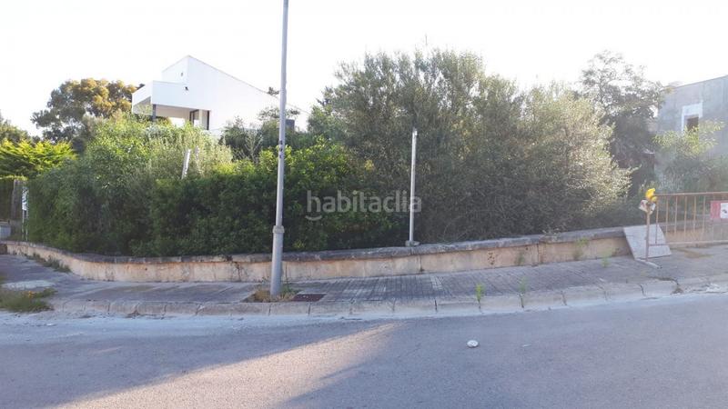 Foto e84854a3-f5dd-46e6-a91e-82549c3fdb75. Terreno residencial en Bacarés-Manresa-Bonaire Alcúdia