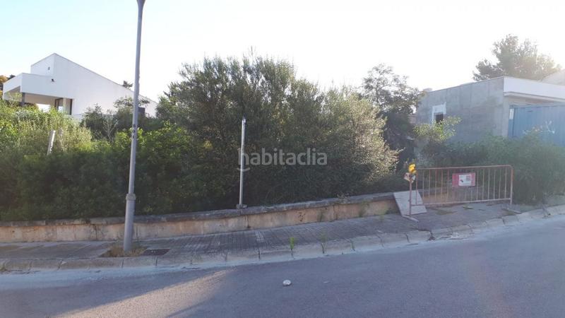 Foto 4ba136f3-1f29-439b-add0-6dd3e115a51c. Terreno residenziale in Bacarés-Manresa-Bonaire Alcúdia