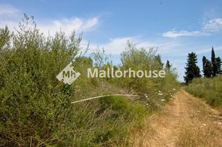 Country house in Diseminado diseminados 2