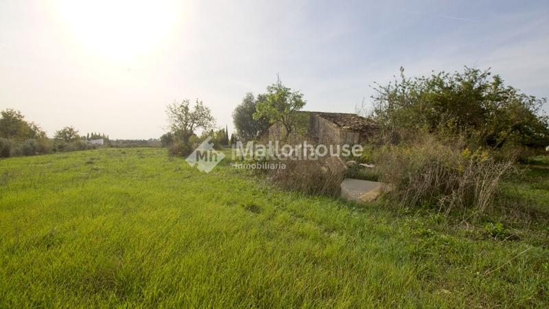 Foto 0c74fe9a-bc1a-4f27-b8e0-2fa04abdb5b1. Casale in Búger