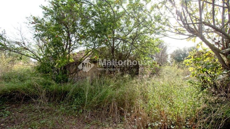 Foto 498680b5-dd0c-4801-af60-369adde3b008. Casale in Búger