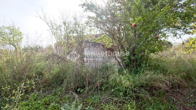 Foto 69aa3ce8-f2ca-4094-bf50-7c254de47613. Casale in Búger