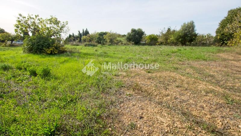 Foto e8c55dfd-5c5a-4faa-ac2e-eba3746013c9. Casale in Búger