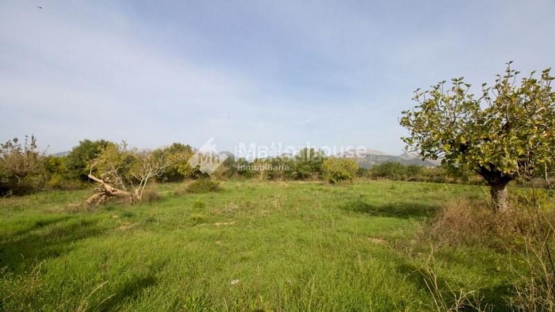 Foto 3da45411-0dbb-464d-98e1-eedac6657fa5. Masia a Búger